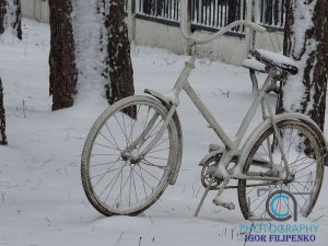 Зима Кропивницький