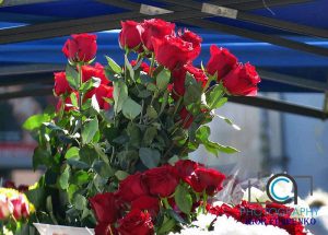 Фото міста Кропивницький, фото Ігоря Філіпенка