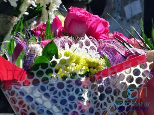 Фото міста Кропивницький, фото Ігоря Філіпенка