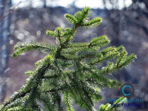 Фото міста Кропивницький, фото Ігоря Філіпенка