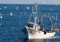 Рибалки Кіровоградщини можуть позмагатися за право здійснення промислового рибальства на Кременчуцькому та Кам’янському водосховищах