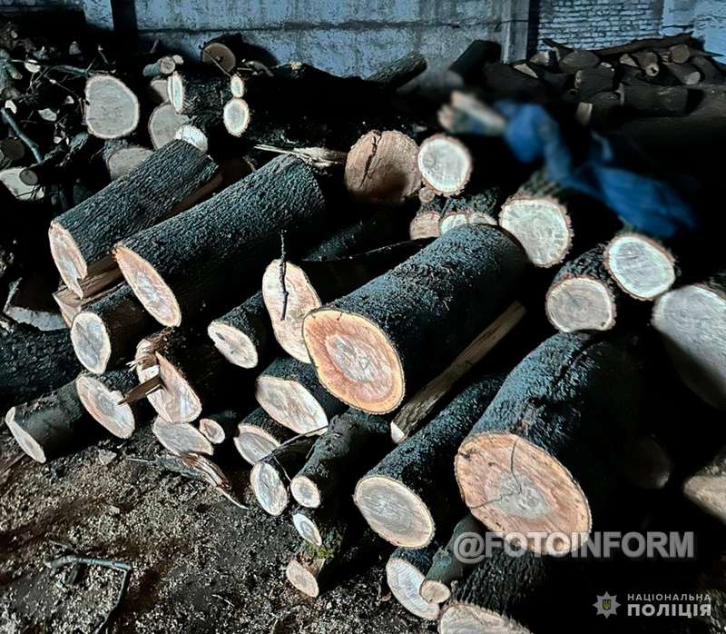 Банда здійснювала незаконну порубку у захисній лісосмузі