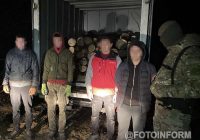 Банда здійснювала незаконну порубку у захисній лісосмузі