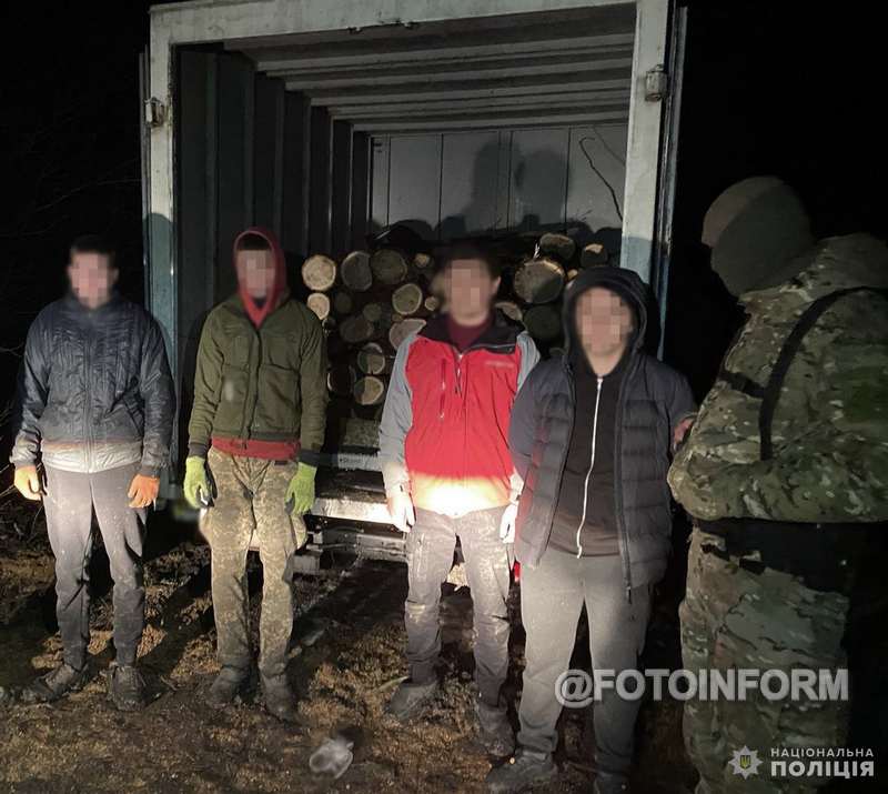 Банда здійснювала незаконну порубку у захисній лісосмузі