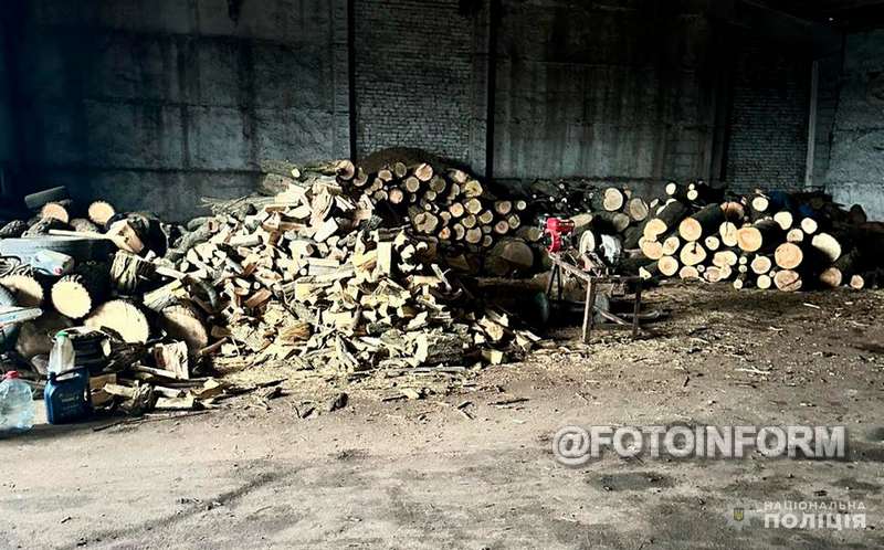 Банда здійснювала незаконну порубку у захисній лісосмузі